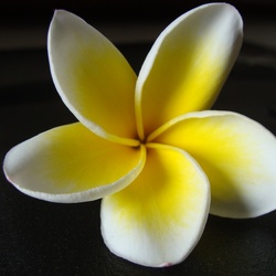 2010-10 China/Taiwan/2010:10:09-02:19:26_DSC04428.JPG